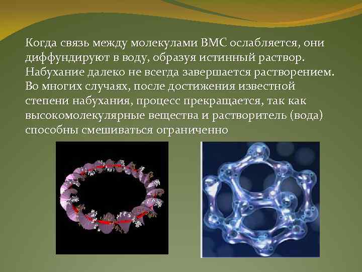 Когда связь между молекулами ВМС ослабляется, они диффундируют в воду, образуя истинный раствор. Набухание