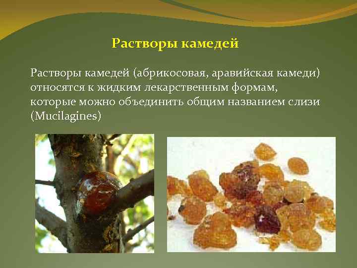 Растворы камедей (абрикосовая, аравийская камеди) относятся к жидким лекарственным формам, которые можно объединить общим