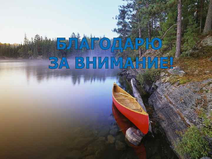 БЛАГОДАРЮ ЗА ВНИМАНИЕ! 