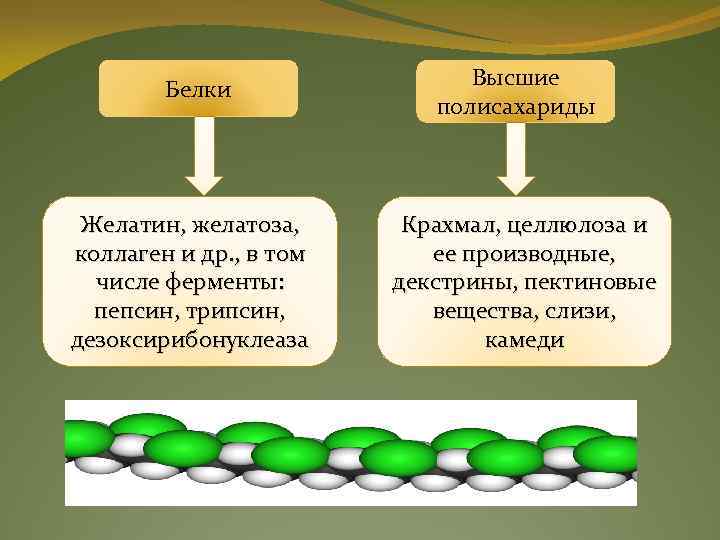 Белки Желатин, желатоза, коллаген и др. , в том числе ферменты: пепсин, трипсин, дезоксирибонуклеаза