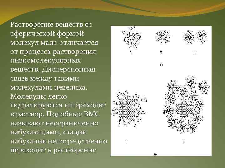 Растворение веществ со сферической формой молекул мало отличается от процесса растворения низкомолекулярных веществ. Дисперсионная