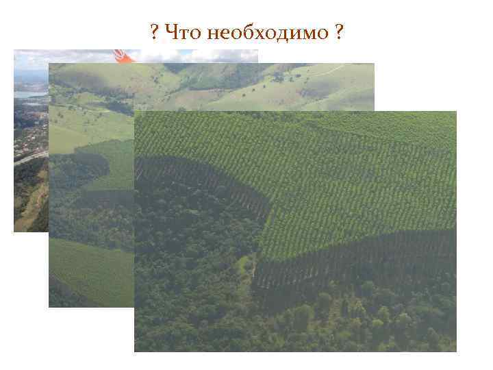 ? Что необходимо ? 