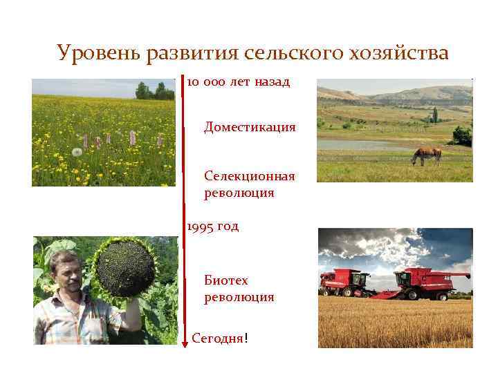 Уровень развития сельского хозяйства 10 000 лет назад Доместикация Селекционная революция 1995 год Биотех