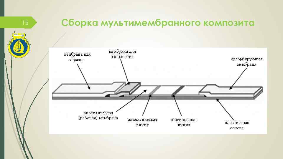 15 Сборка мультимембранного композита 