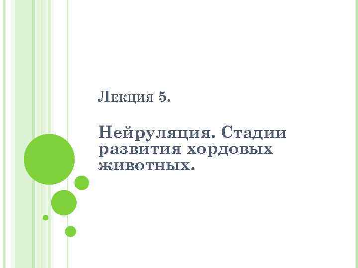 ЛЕКЦИЯ 5. Нейруляция. Стадии развития хордовых животных. 