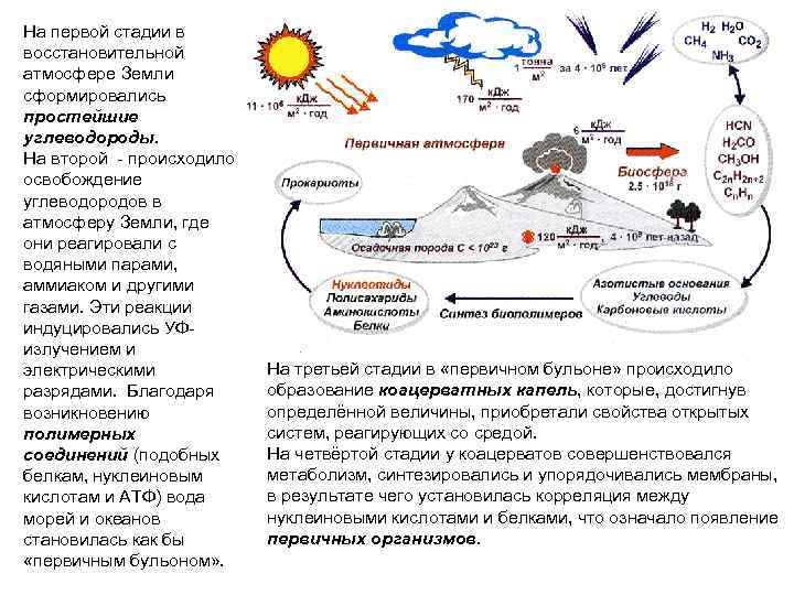 На первой стадии в восстановительной атмосфере Земли сформировались простейшие углеводороды. На второй - происходило