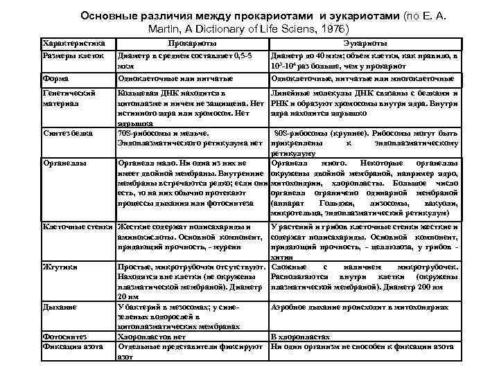 Основные различия между прокариотами и эукариотами (по E. A. Martin, A Dictionary of Life