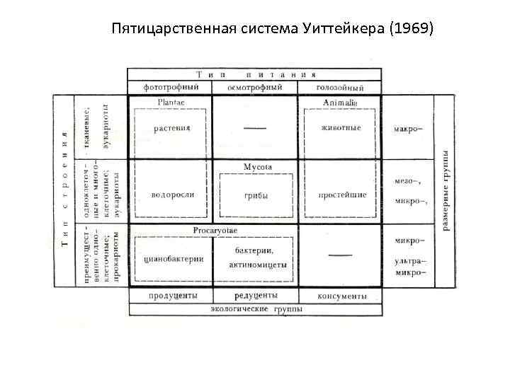 Пятицарственная система Уиттейкера (1969) 