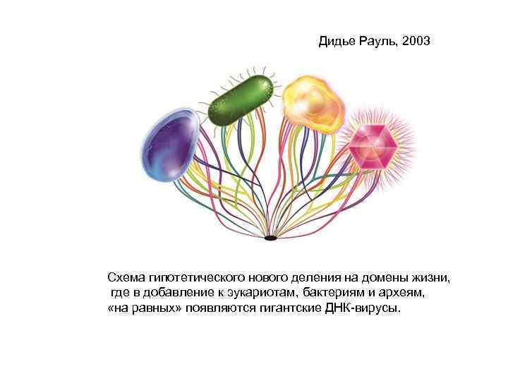 Дидье Рауль, 2003 Схема гипотетического нового деления на домены жизни, где в добавление к