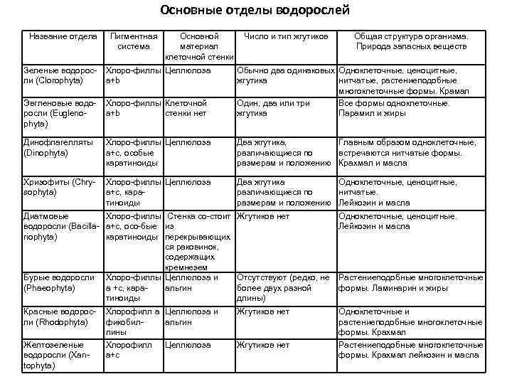 Характеристика основи