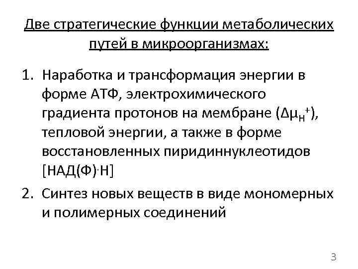 Две стратегические функции метаболических путей в микроорганизмах: 1. Наработка и трансформация энергии в форме