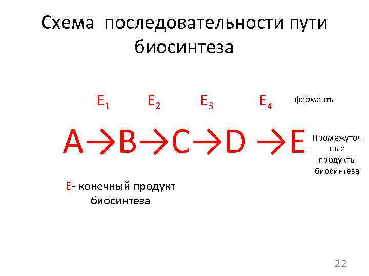 Схема последовательности пути биосинтеза Е 1 Е 2 Е 3 Е 4 ферменты А→B→C→D