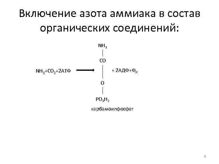 Включение азота аммиака в состав органических соединений: NH 3 CO + 2 АДФ+ФН NH