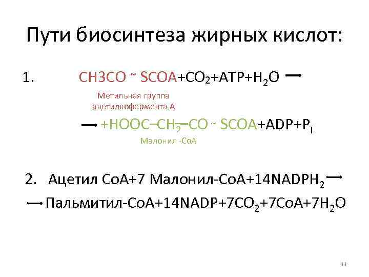 Пути биосинтеза жирных кислот: 1. СН 3 СО ῀ SCOA+CO 2+АТР+Н 2 О Метильная