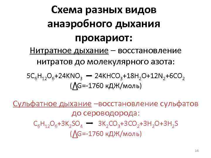 Схема разных видов анаэробного дыхания прокариот: Нитратное дыхание – восстановление нитратов до молекулярного азота: