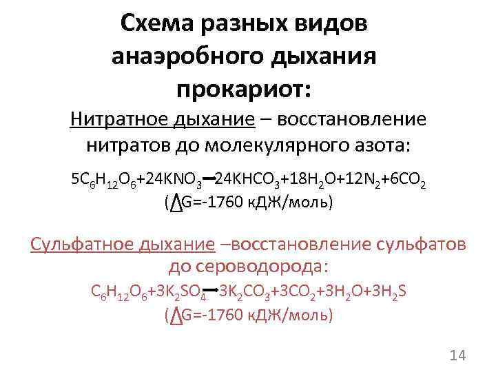 Схема разных видов анаэробного дыхания прокариот: Нитратное дыхание – восстановление нитратов до молекулярного азота: