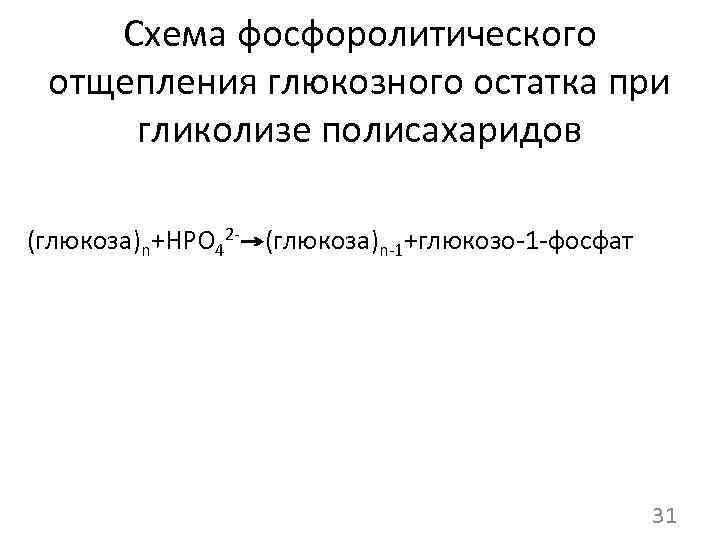 Схема фосфоролитического отщепления глюкозного остатка при гликолизе полисахаридов (глюкоза)n+HPO 42 - (глюкоза)n-1+глюкозо-1 -фосфат 31
