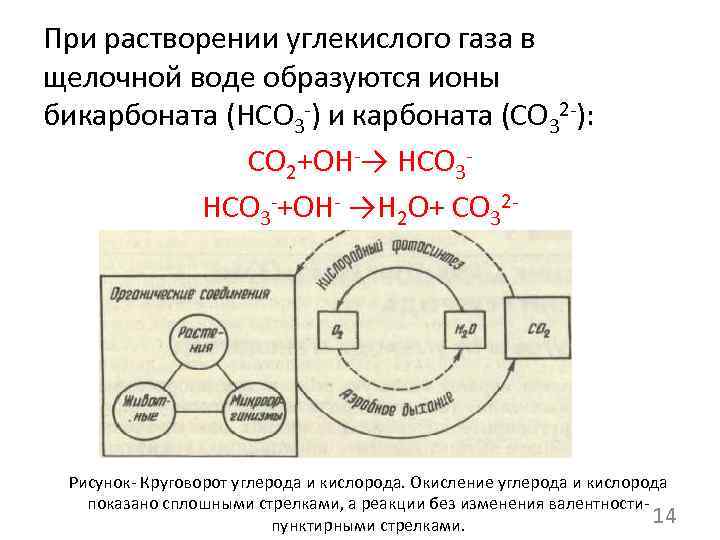 Окисление углекислого газа. Растворение углекислого газа в воде. При растворении углекислого газа в воде образуется. Растворимость углекислого газа. Растворимость углекислого газа в воде.