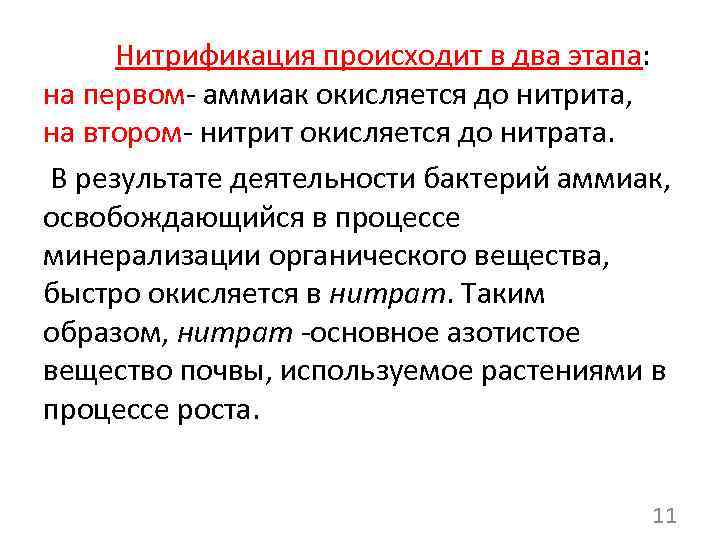 Нитрификация происходит в два этапа: на первом- аммиак окисляется до нитрита, на втором- нитрит