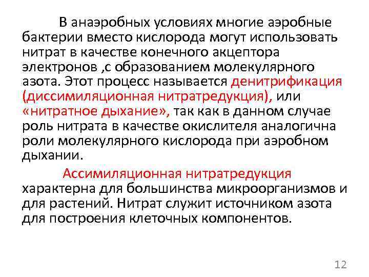 В анаэробных условиях многие аэробные бактерии вместо кислорода могут использовать нитрат в качестве конечного