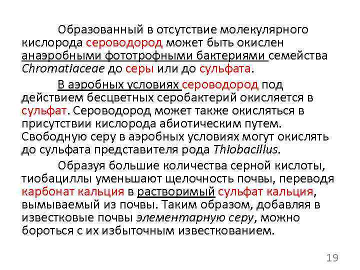 Сероводород кислород недостаток. Участие микроорганизмов в круговороте серы. Роль. Бактерий в круговороте серы. Подразделение прокариот по отношению к молекулярному кислороду. Образование сероводорода микробиология.