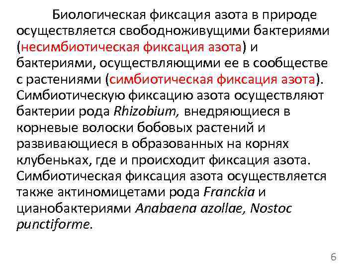 Биологическая фиксация азота в природе осуществляется свободноживущими бактериями (несимбиотическая фиксация азота) и бактериями, осуществляющими