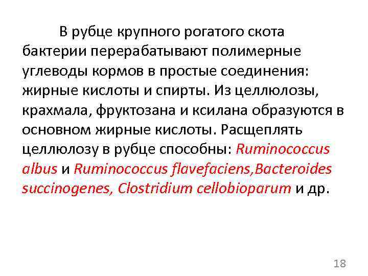 В рубце крупного рогатого скота бактерии перерабатывают полимерные углеводы кормов в простые соединения: жирные
