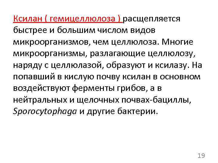 Ксилан ( гемицеллюлоза ) расщепляется быстрее и большим числом видов микроорганизмов, чем целлюлоза. Многие
