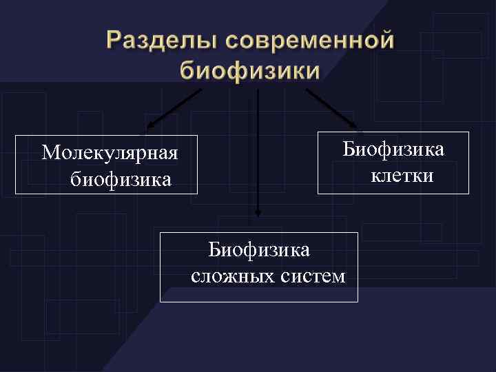 Молекулярная биофизика Биофизика клетки Биофизика сложных систем 