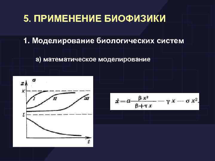 5. ПРИМЕНЕНИЕ БИОФИЗИКИ 1. Моделирование биологических систем а) математическое моделирование 