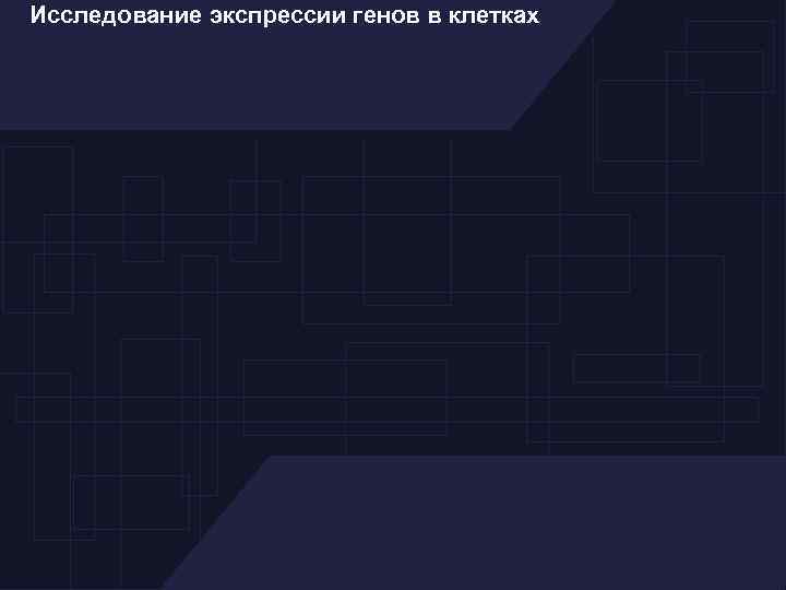 Исследование экспрессии генов в клетках 