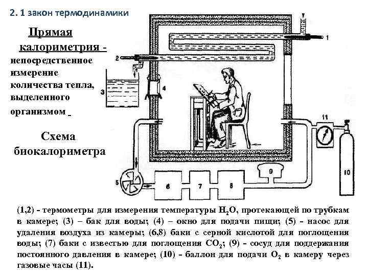 2. 1 закон термодинамики Прямая калориметрия непосредственное измерение количества тепла, выделенного организмом Схема биокалориметра