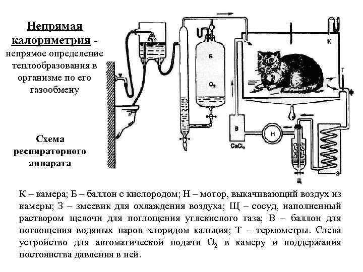 Непрямая калориметрия непрямое определение теплообразования в организме по его газообмену Схема респираторного аппарата К