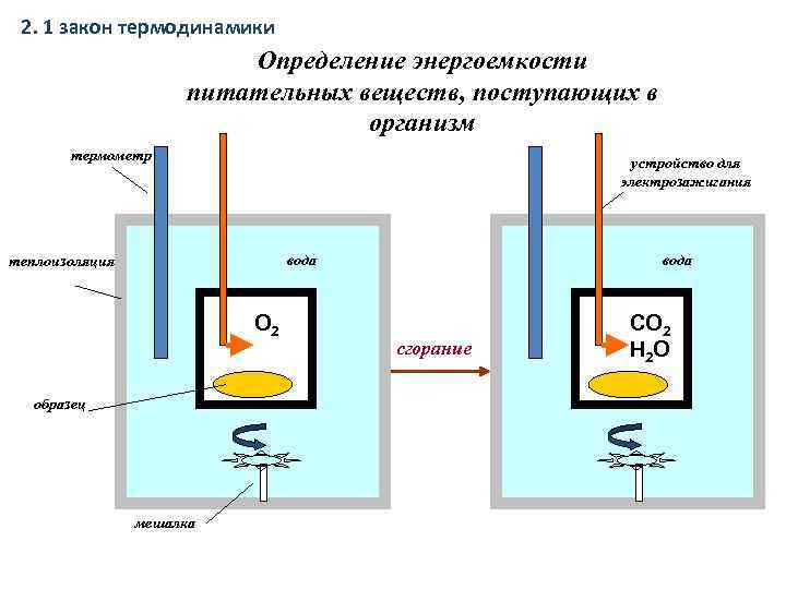 2. 1 закон термодинамики Определение энергоемкости питательных веществ, поступающих в организм термометр устройство для