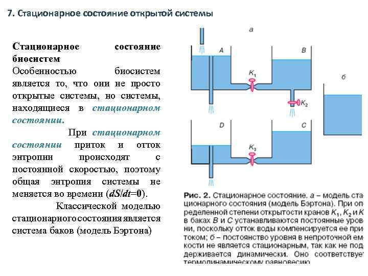 Термодинамика открытых систем. Стационарное состояние системы. Признаки стационарного состояния системы. Стационарное состояние физика. Для стационарного состояния систем характерно.