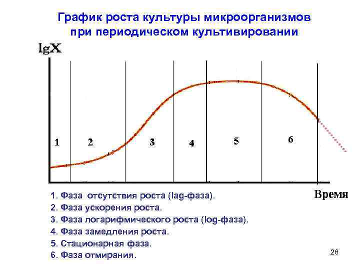 Культура роста