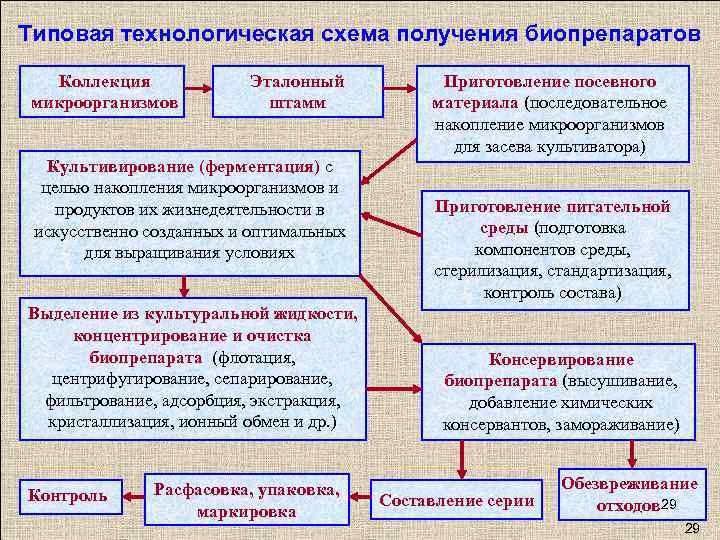 Типовая технологическая схема получения биопрепаратов Коллекция микроорганизмов Эталонный штамм Культивирование (ферментация) с целью накопления