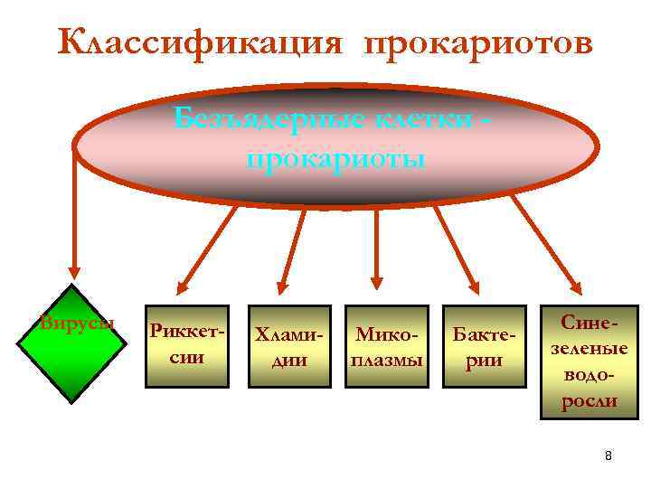 На основе параграфа. Классификация царства прокариот микробиология. Классификация прокариотов микробиология. Принципы систематики прокариот. Систематика микроорганизмов прокариоты.