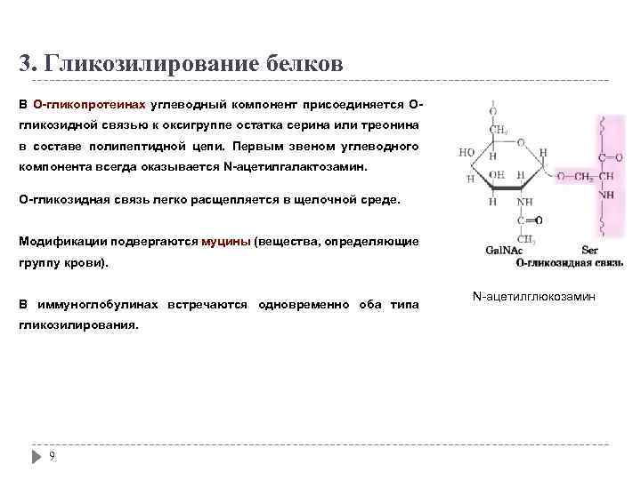 3. Гликозилирование белков В О-гликопротеинах углеводный компонент присоединяется Огликозидной связью к оксигруппе остатка серина