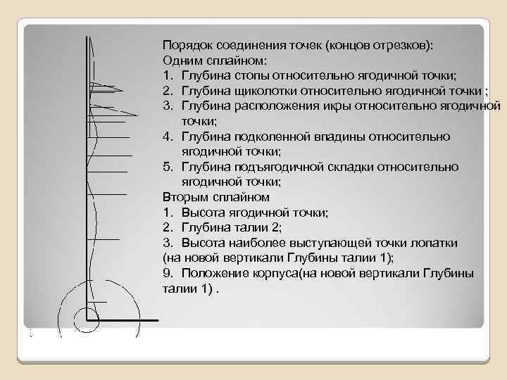 Порядок соединения точек (концов отрезков): Одним сплайном: 1. Глубина стопы относительно ягодичной точки; 2.