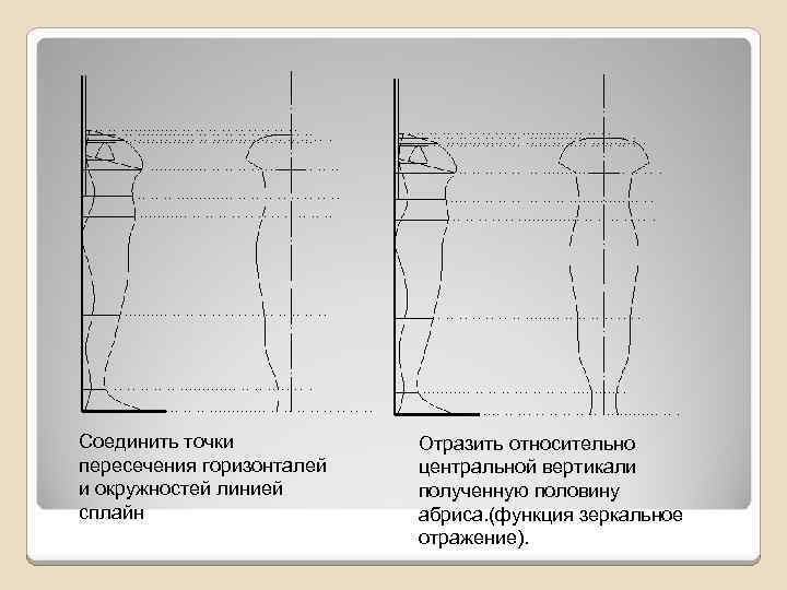 Соединить точки пересечения горизонталей и окружностей линией сплайн Отразить относительно центральной вертикали полученную половину