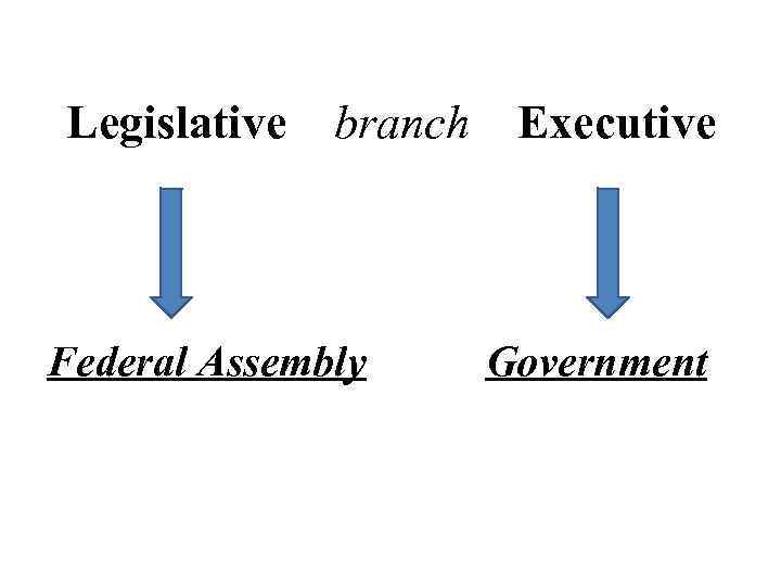 Legislative branch Executive Federal Assembly Government 