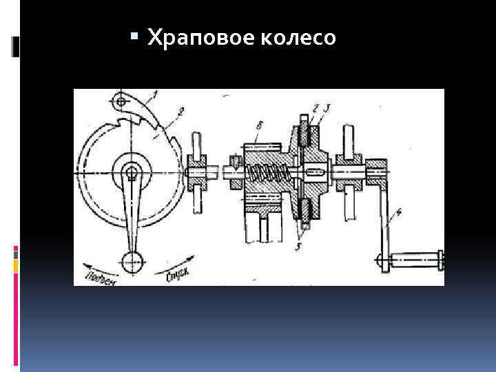  Храповое колесо 