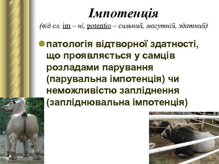 Імпотенція (від сл. іm – ні, potentio – сильний, могутній, здатний) l патологія відтворної