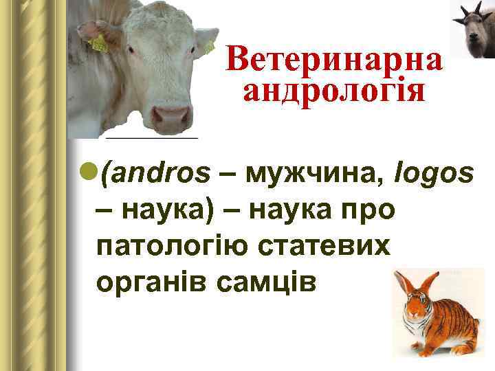 Ветеринарна андрологія l(andros – мужчина, logos – наука) – наука про патологію статевих органів