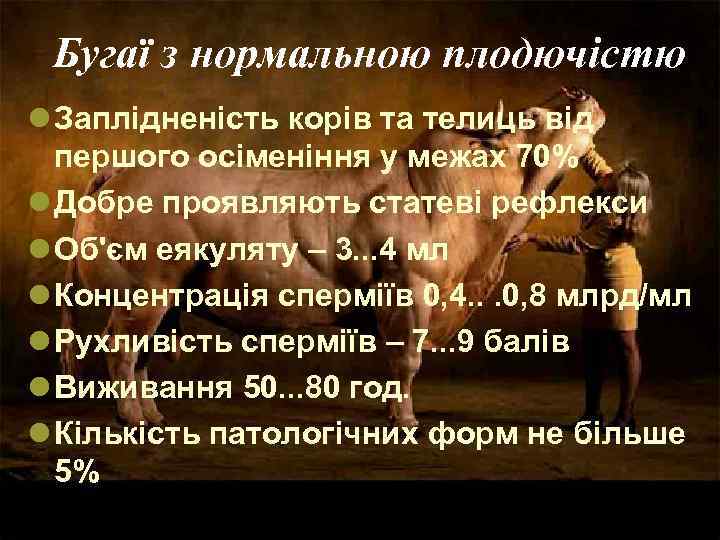 Бугаї з нормальною плодючістю l Заплідненість корів та телиць від першого осіменіння у межах