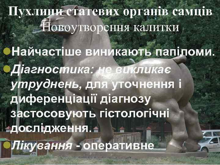 Пухлини статевих органів самців Новоутворення калитки l. Найчастіше виникають папіломи. l. Діагностика: не викликає