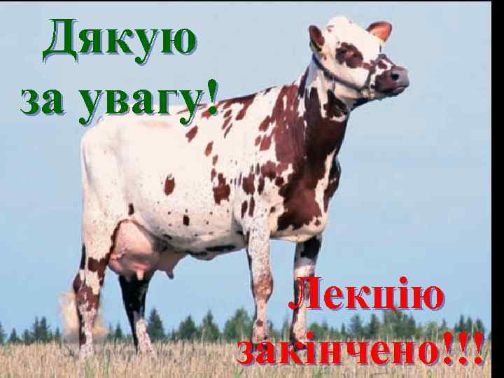 Дякую за увагу! Лекцію закінчено!!! 
