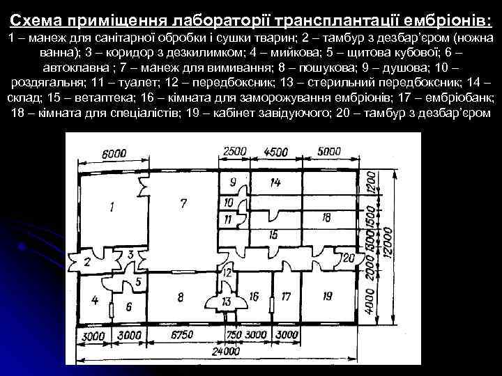 Схема приміщення лабораторії трансплантації ембріонів: 1 – манеж для санітарної обробки і сушки тварин;