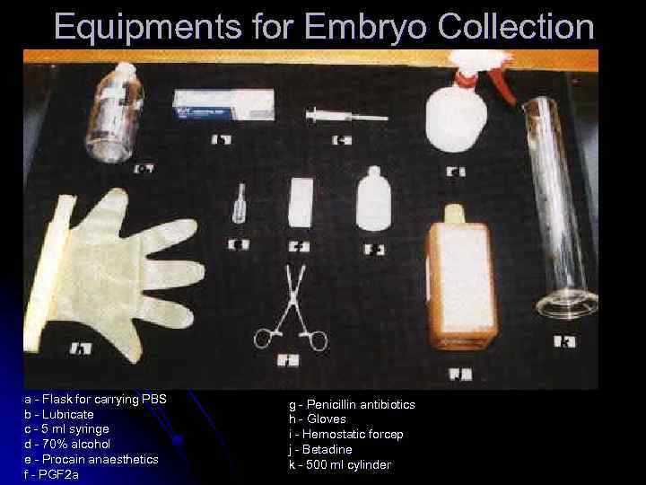 Equipments for Embryo Collection a - Flask for carrying PBS b - Lubricate c